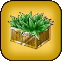 特どくけしそう画像