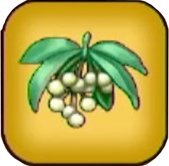 イレイザ草画像