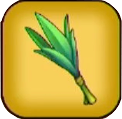 カイユの葉画像