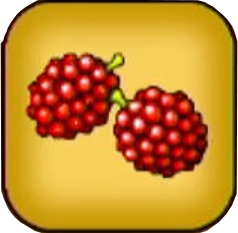 ようがんイチゴ画像