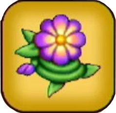 シオンの花画像