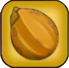 チョッピカカオ画像