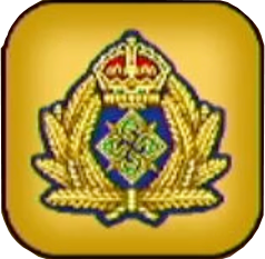 大事なワッペン画像