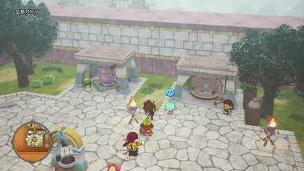 ピナッツの見た目