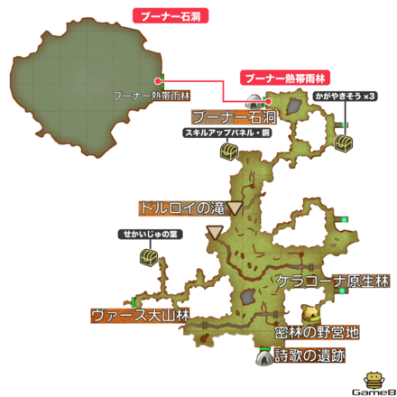 ブーナー熱帯雨林全体