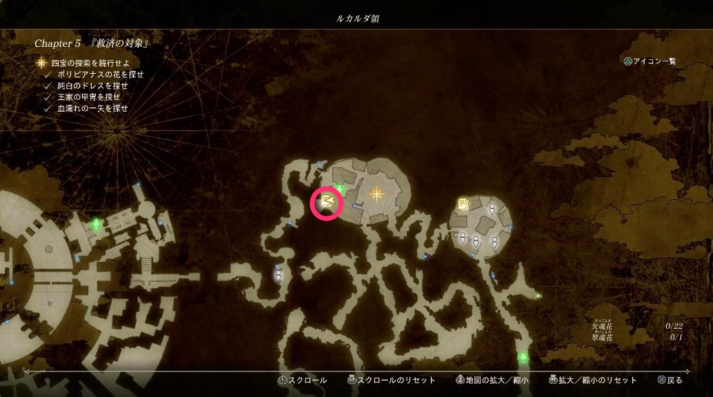 子の心、親知らず画像