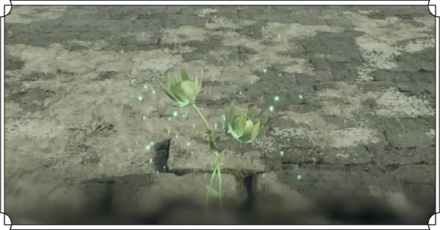 翠魂花の入手方法