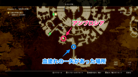 アンブロシアがある場所