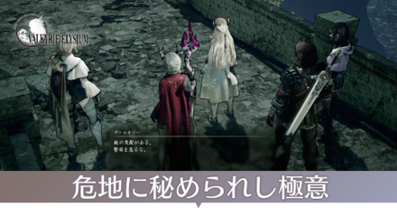 危地に秘められし極意画像