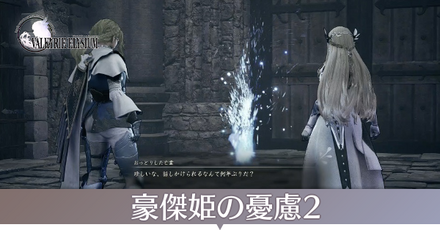 豪傑姫の憂慮2画像