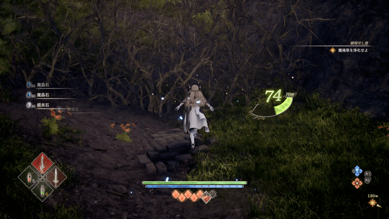 道中にあるツタはタイカを仲間にすると除去できる