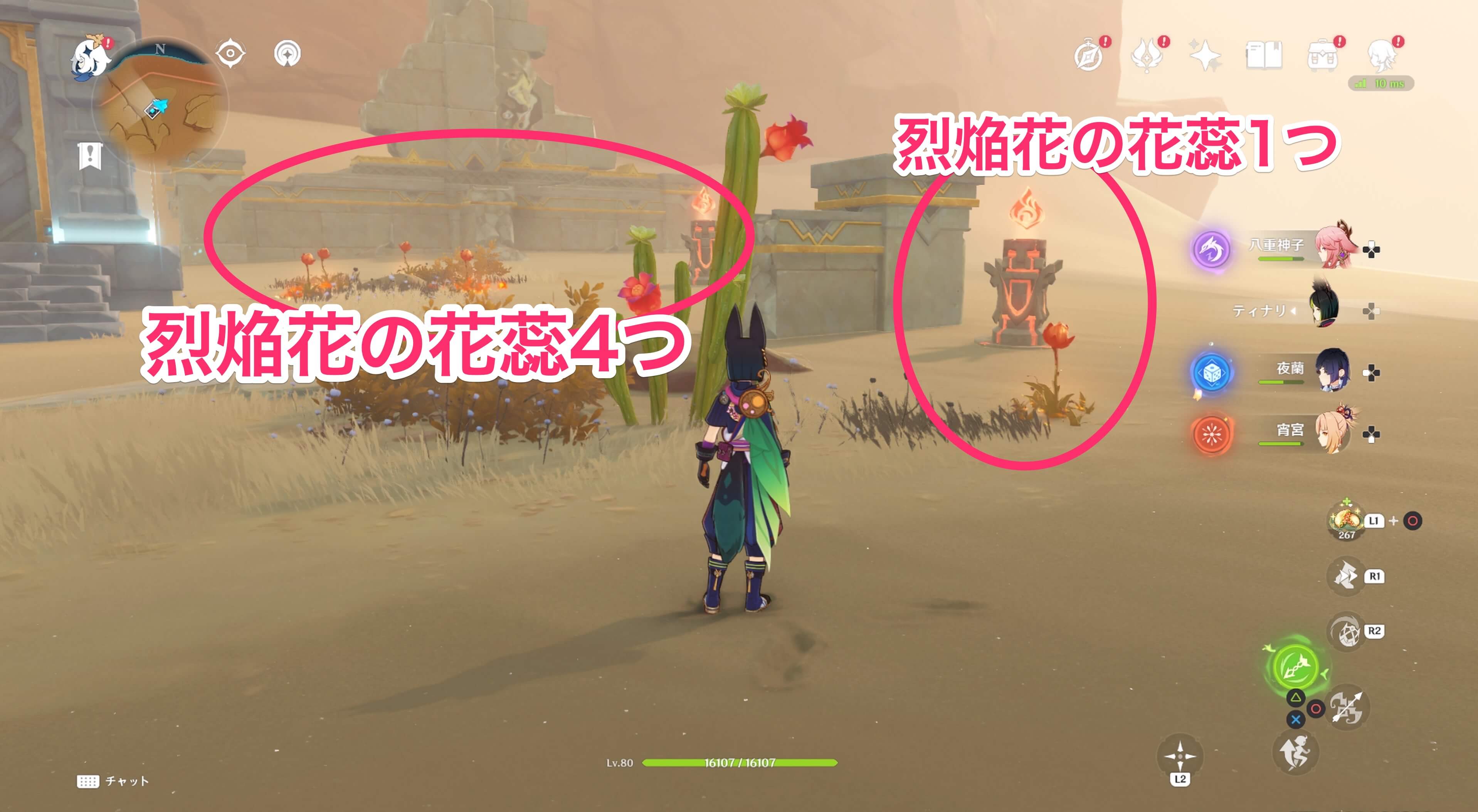 烈焔花の花蕊の個数