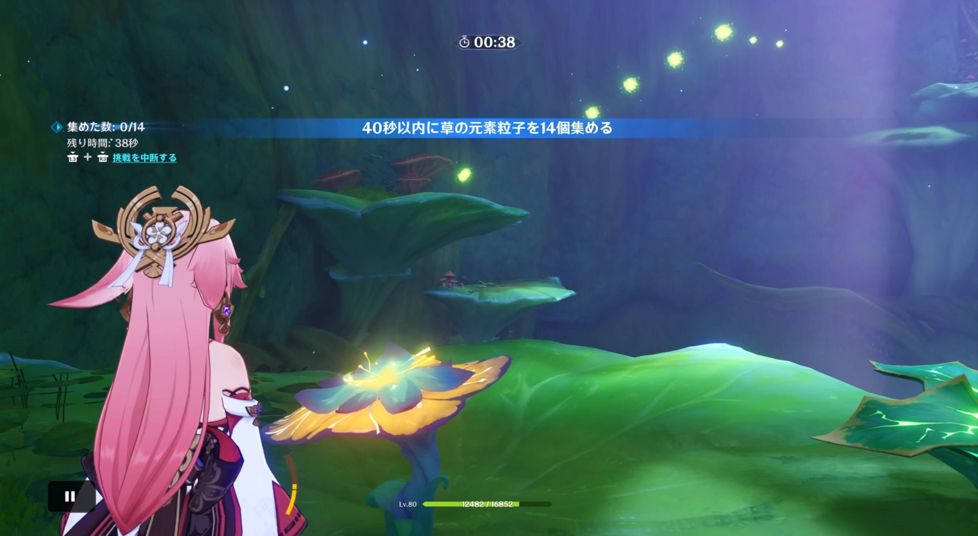 花に触れて時間制限挑戦を開始する