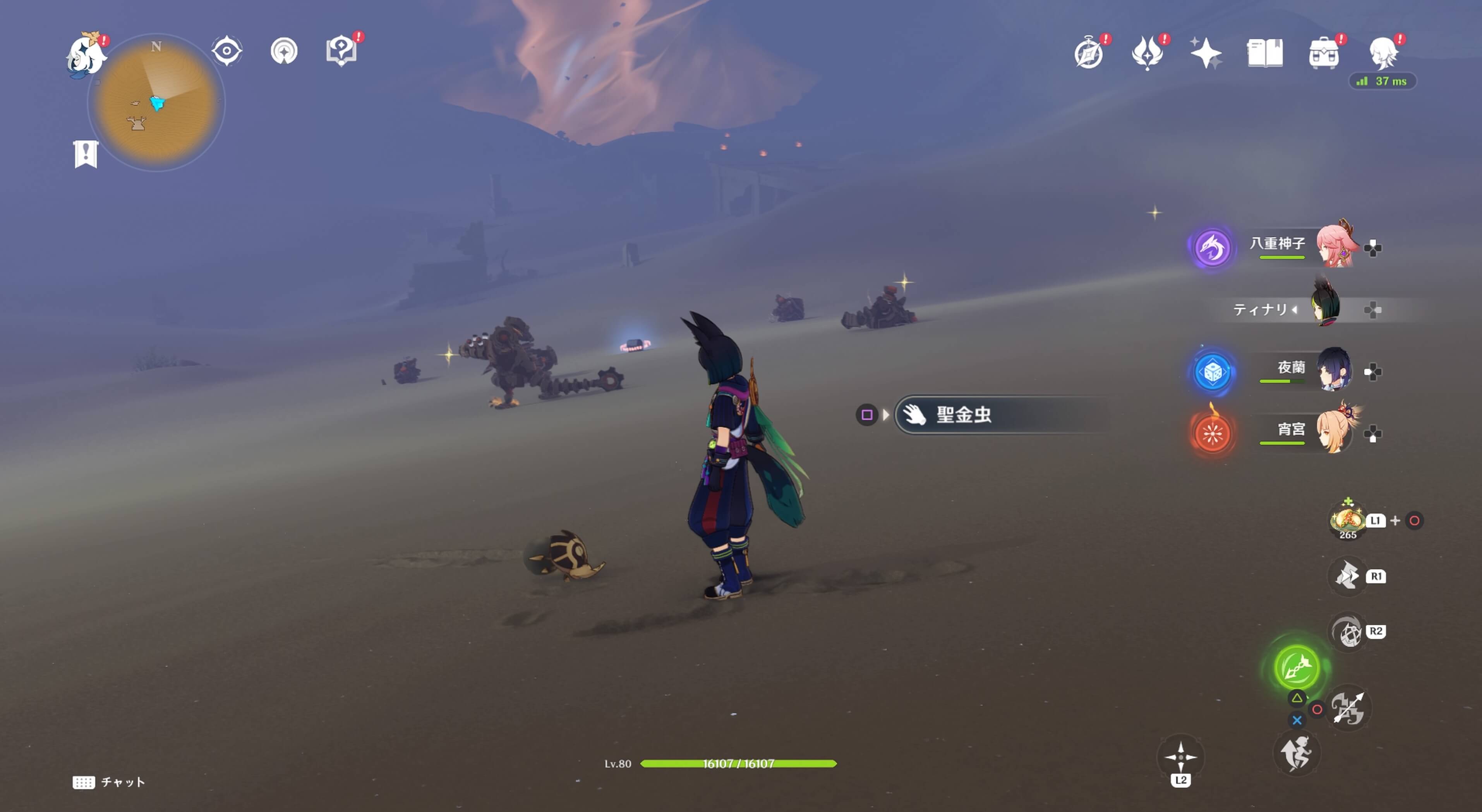 近くに遺跡ドレイク