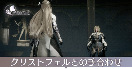 クリストフェルとの手合わせ画像
