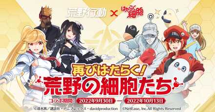 はたらく細胞第2弾