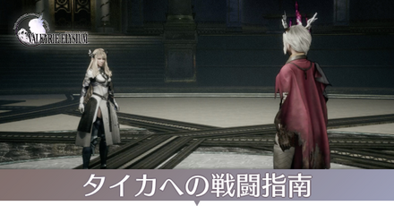 タイカへの戦闘指南画像