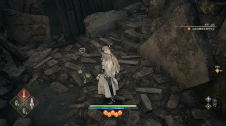 ロマリ領の翠魂花