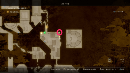 ガルドバ領の翠魂花の場所