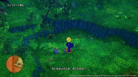 ヴェリナード領北ちいさなメダル入手場所詳細