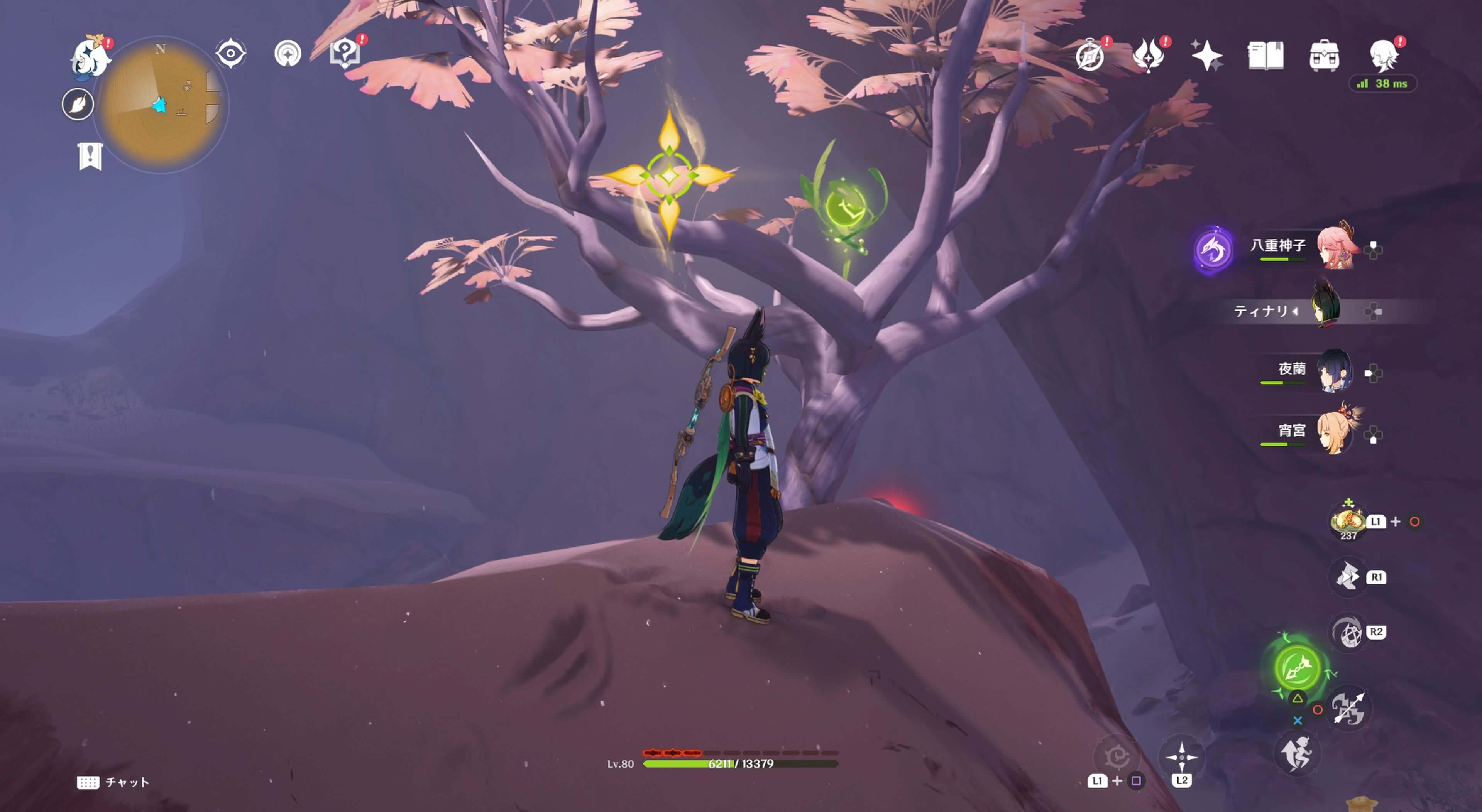 死域の腫瘍がある花の上