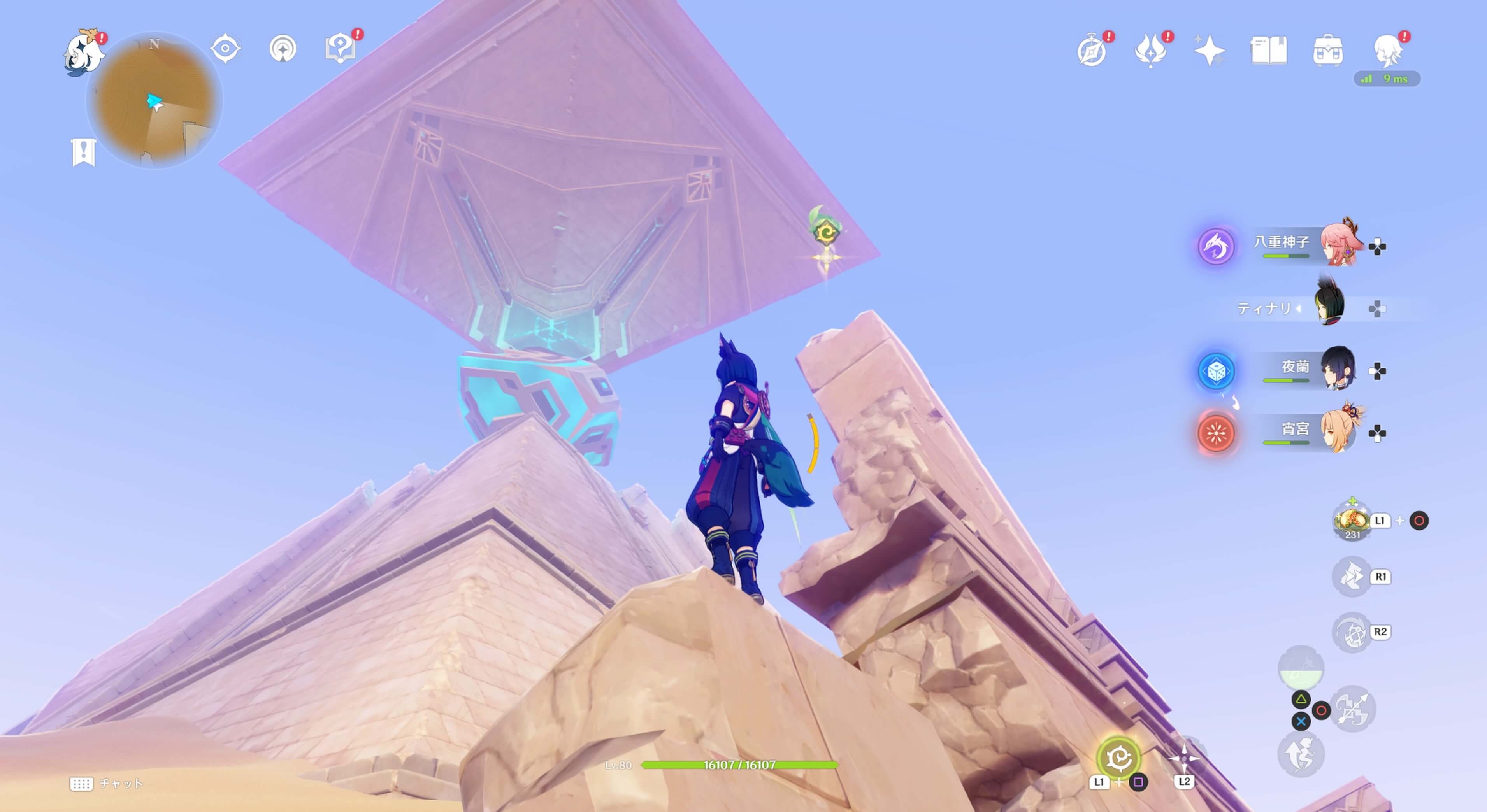 地上にあるがれきの上