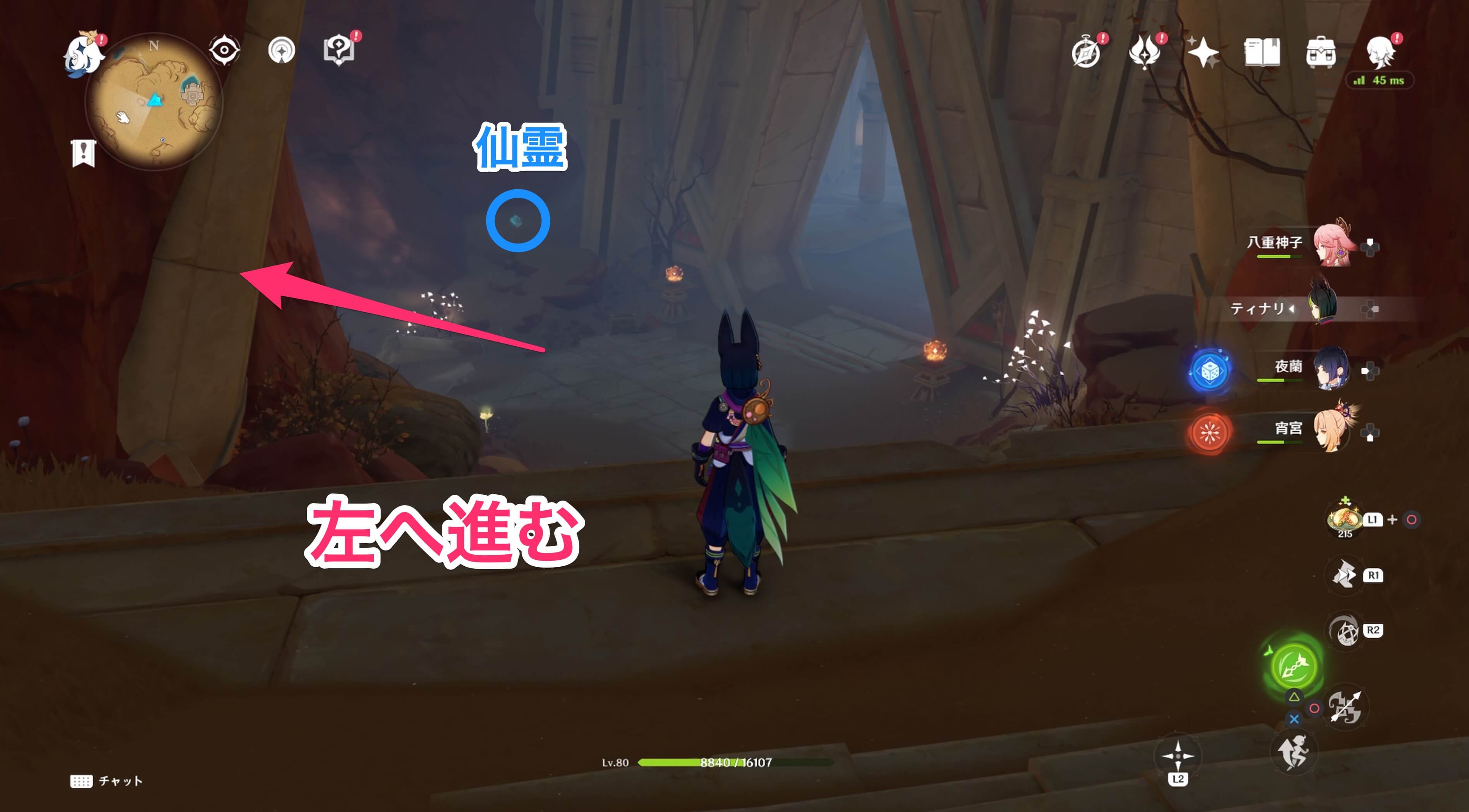 仙霊がいる場所の分かれ道を左に進む