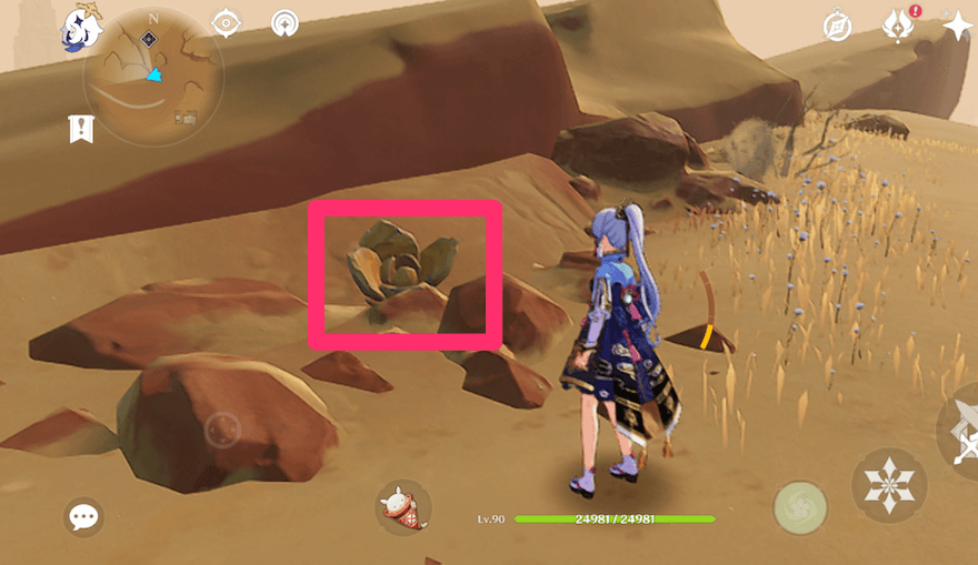 ゴールデンローズの場所