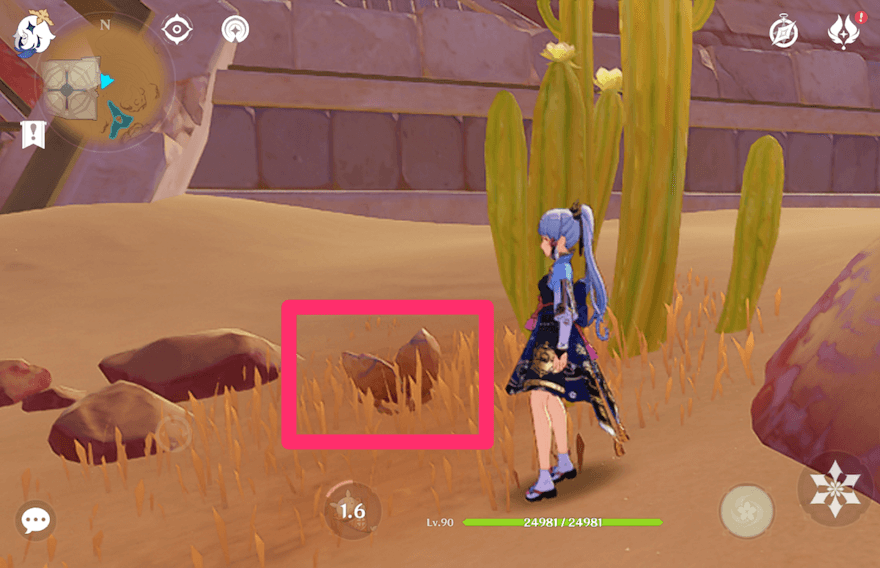 ゴールデンローズの種の場所