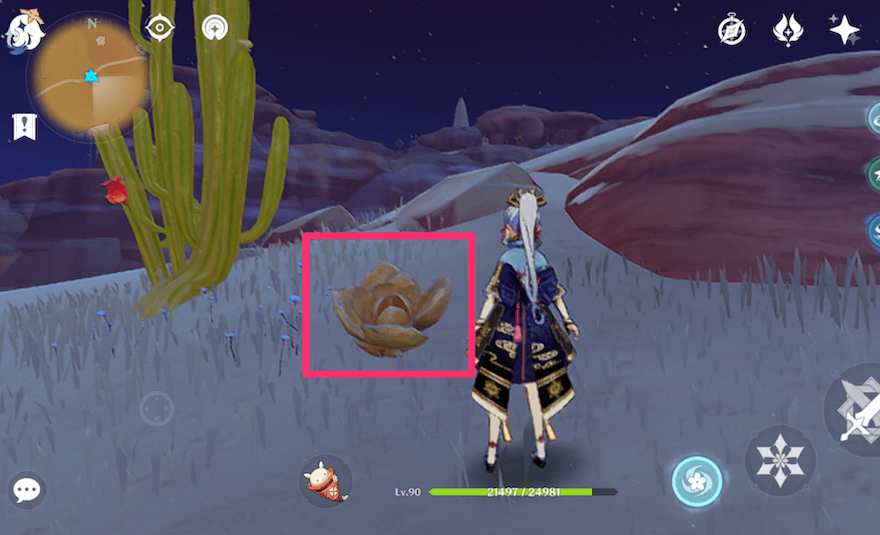 ゴールデンローズの種の場所