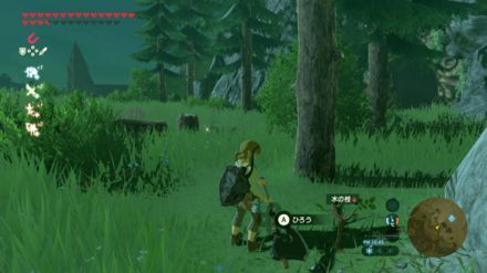 木の枝の場所画像