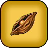 いのちのきのみ画像