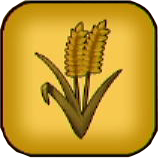 ふわふわ小麦画像