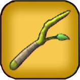 ローリエの小枝画像