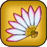 はねおうぎ画像