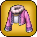 月のローブ上画像