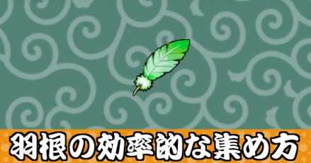 羽根の効率的な集め方バナー