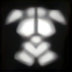 体
