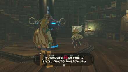 アッカレ古代研究所傷