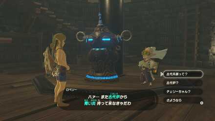 ブレワイのもう一人の研究者の画像