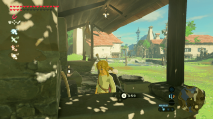 木のオタマの場所画像