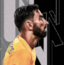 HPルイパトリシオ(ブルーノパック/10/6)画像