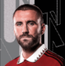 HPルーク・ショー(ブルーノパック/10/6)の画像