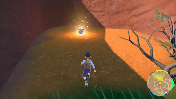 光り輝く野生ポケモン