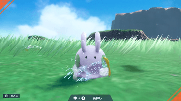 ピクニックでポケモンと交流