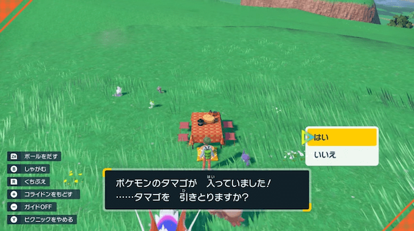 ピクニックでタマゴが見つかる