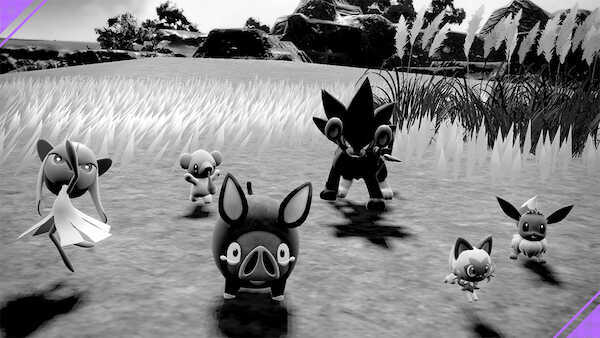 ピクニックで写真