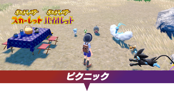 ピクニックのやり方とできること