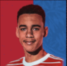 HPジャマルムシアラ(バイエルンパック/10/6)画像