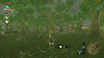 サトリ山のマップ